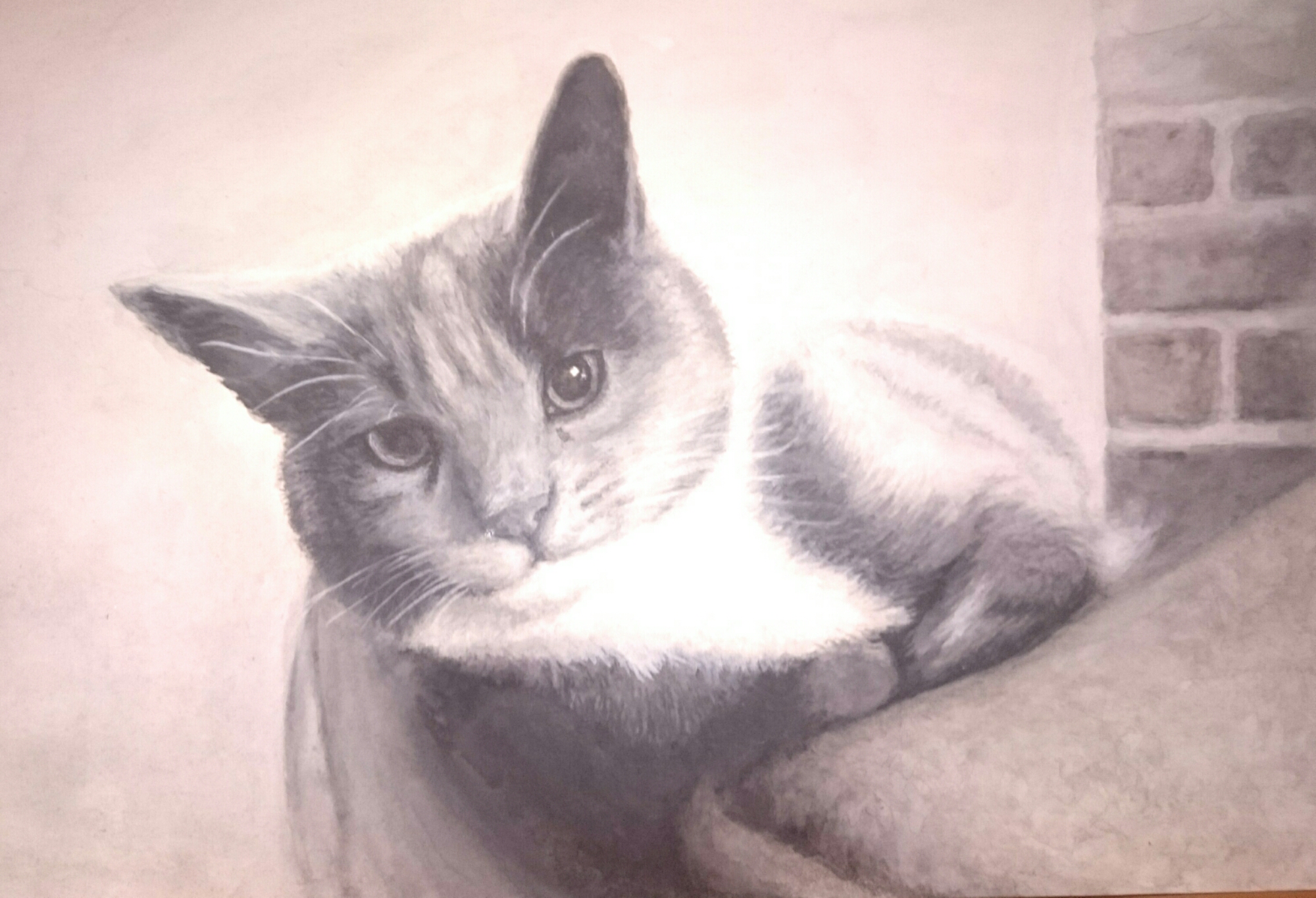 Dusty cat watercolour